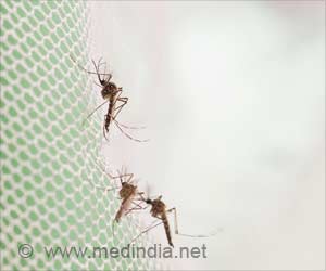 New Tool to Fight Malaria Identified