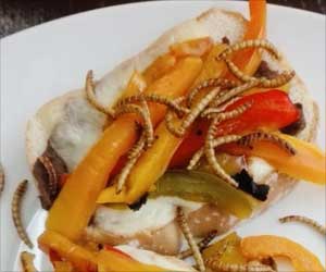 Edible Insects Could be the Wonder Food of the Future