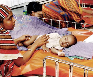 Central Team Rushed to Assam After 21 Deaths Due to Japanese Encephalitis Central Team Rushed to Assam After 21 Deaths Due to Japanese Encephalitis