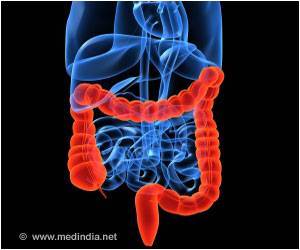 West Nile, Zika Virus can Lead to Digestive Problems West Nile, Zika Virus can Lead to Digestive Problems