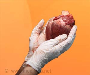 New Cell That can Heal Hearts Discovered New Cell That can Heal Hearts Discovered