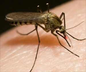 Delhi Govt Releases Rs 109 Crore to MCDs to Fight Mosquito-borne Diseases Delhi Govt Releases Rs 109 Crore to MCDs to Fight Mosquito-borne Diseases