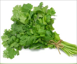 Molecular Component in Cilantro can Reduce Seizures: Study Molecular Component in Cilantro can Reduce Seizures: Study