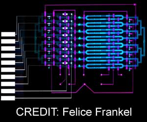 New Sensor Helps Detect Sepsis in Minutes New Sensor Helps Detect Sepsis in Minutes