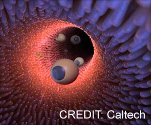 Microrobots Offer Hope in Fighting Tumors Microrobots Offer Hope in Fighting Tumors