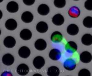 Cancer Lab on Chip Enables Personalized Treatment Cancer Lab on Chip Enables Personalized Treatment