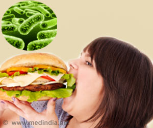 Gut Bacteria in Mice Prevents Obesity: Study Gut Bacteria in Mice Prevents Obesity: Study