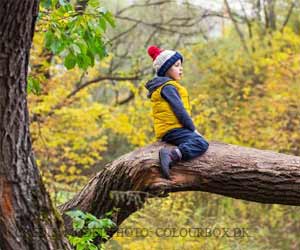Urban Greening Strategies Linked to Improved Mental and General Health Urban Greening Strategies Linked to Improved Mental and General Health