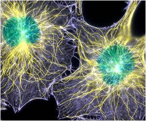 Anti-bacterial Gel That Heals Itself and You Anti-bacterial Gel That Heals Itself and You