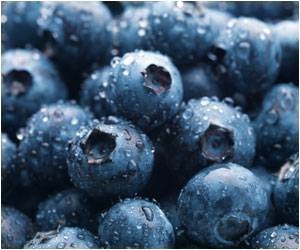 Eating Blueberries Daily Yields a Range of Benefits Eating Blueberries Daily Yields a Range of Benefits