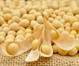 Soybean's Antioxidant Compound may Prevent Blood Vessel Damage from Marijuana Soybean's Antioxidant Compound may Prevent Blood Vessel Damage from Marijuana