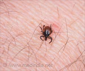 FDA Clears New Indications for Current Lyme Disease Tests FDA Clears New Indications for Current Lyme Disease Tests