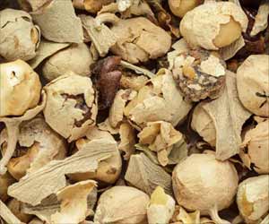 Indian Herbal Extract Has Anti-diabetic Properties Indian Herbal Extract Has Anti-diabetic Properties