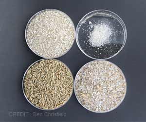 Consuming Rye is Healthy Because of an Interplay of Microbes: Study Consuming Rye is Healthy Because of an Interplay of Microbes: Study