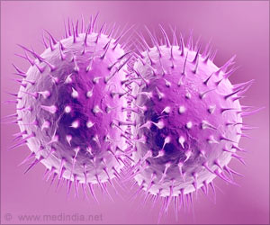Blocking Zinc Uptake Could Prevent Gonorrhea Infection Blocking Zinc Uptake Could Prevent Gonorrhea Infection