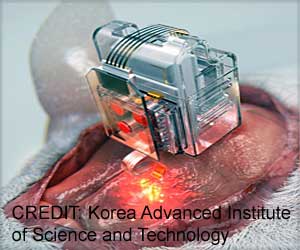 New Way to Manipulate Brain Cells Using Smartphone New Way to Manipulate Brain Cells Using Smartphone