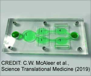 In Vitro, Heart-on-a-chip Predicts Human Drug Response In Vitro, Heart-on-a-chip Predicts Human Drug Response