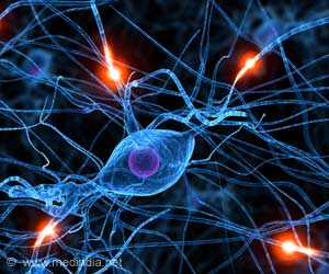 Key Proteins for the Repair of Nerve Fibers Discovered