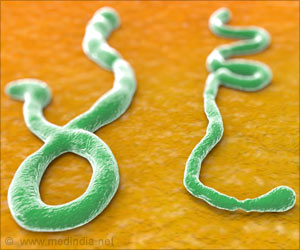 Anti-parasitic Drug Treats Ebola: Study Anti-parasitic Drug Treats Ebola: Study