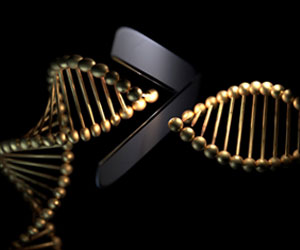 Link Between Gene Mutation Combo and Endometrial Cancer Link Between Gene Mutation Combo and Endometrial Cancer