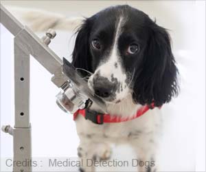 Evolution of Contagious Dog Cancer Explained Evolution of Contagious Dog Cancer Explained