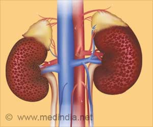 Glomerulus on a Chip: Major Breakthrough in Vitro Model in Kidney Disease Glomerulus on a Chip: Major Breakthrough in Vitro Model in Kidney Disease