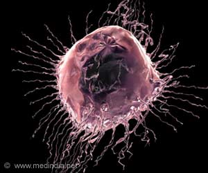 New Study Offers Fresh Insights into Human Defence Mechanisms and Cancer Spread New Study Offers Fresh Insights into Human Defence Mechanisms and Cancer Spread