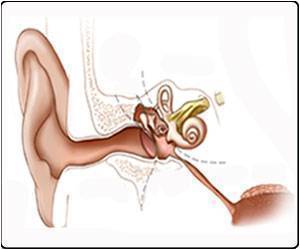 Proteins That Might Restore Damaged Sound-detecting Cells in the Ear Discovered Proteins That Might Restore Damaged Sound-detecting Cells in the Ear Discovered