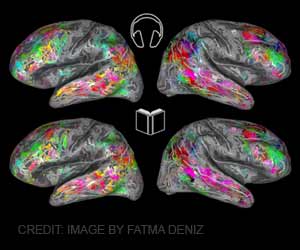 Brain Map That Tells What Youre Reading Created Brain Map That Tells What Youre Reading Created