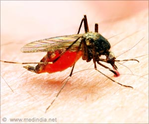 Researcher Warns of Need for Malaria Drug to Treat Severe Cases in U.S. Researcher Warns of Need for Malaria Drug to Treat Severe Cases in U.S.