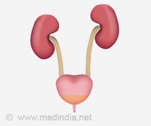 Study Shows Why Initial UTIs Increase Susceptibility to Further Infection Study Shows Why Initial UTIs Increase Susceptibility to Further Infection