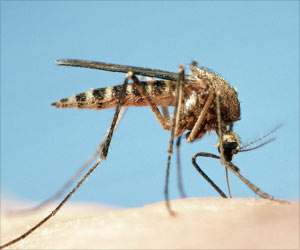 Possible New Therapeutic Strategy for Severe Dengue Disease Possible New Therapeutic Strategy for Severe Dengue Disease