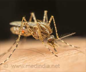 Zero Dengue Death Target in Delhi: Kejriwal Zero Dengue Death Target in Delhi: Kejriwal