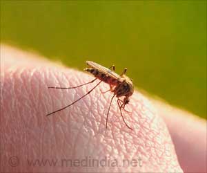 Sri Lanka: Dengue Kills 62, Infects Over 42000 Sri Lanka: Dengue Kills 62, Infects Over 42000
