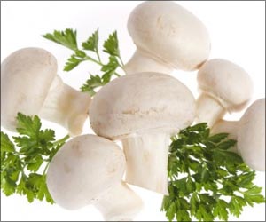 Mushrooms can Lower Risk of Prostate Cancer Mushrooms can Lower Risk of Prostate Cancer