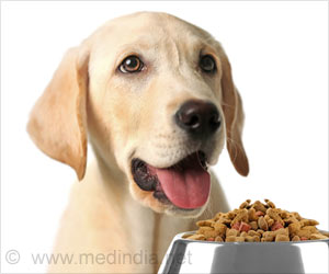 Pets can Help Ease Depression and Loneliness After Spousal Loss Pets can Help Ease Depression and Loneliness After Spousal Loss