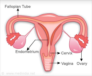 Estrogen Therapy Among Women: Fresh Insights Estrogen Therapy Among Women: Fresh Insights
