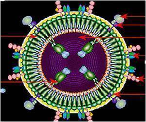 Link Between Prenatal HIV Exposure and Infant Immunity Established Link Between Prenatal HIV Exposure and Infant Immunity Established