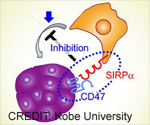 Cancer Therapies Could Be Improved By Using Precious Metal Flecks as Catalysts Cancer Therapies Could Be Improved By Using Precious Metal Flecks as Catalysts