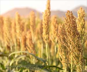 Feed the World Without Overwhelming the Planet Feed the World Without Overwhelming the Planet