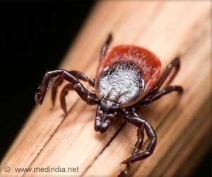 Congo Fever Claims 2 Lives in Rajasthan Congo Fever Claims 2 Lives in Rajasthan