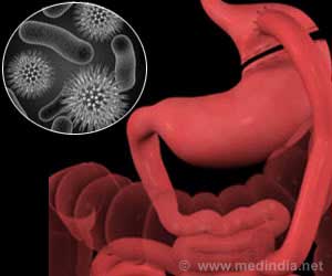 Microbes Might Impact Mechanisms Related To Muscle Strength In Elders
