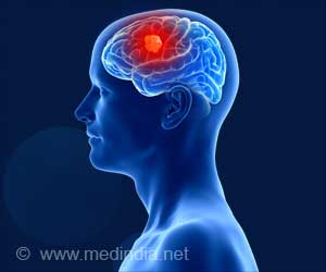 Nutrition Programs Alone are Not Enough to Support Healthy Brain Development: Study Nutrition Programs Alone are Not Enough to Support Healthy Brain Development: Study