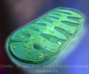 Study Reveals Potential New Drug Target To Combat Cancer Study Reveals Potential New Drug Target To Combat Cancer