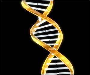 Chromosomal Changes Implicated in Disease Linked to Social and Economic Disadvantage: Study Chromosomal Changes Implicated in Disease Linked to Social and Economic Disadvantage: Study