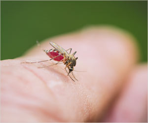Florida: 3 New Dengue Cases Confirmed Florida: 3 New Dengue Cases Confirmed