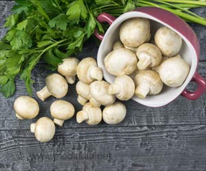 Eating Mushrooms may Reduce Risk of Prostate Cancer Eating Mushrooms may Reduce Risk of Prostate Cancer