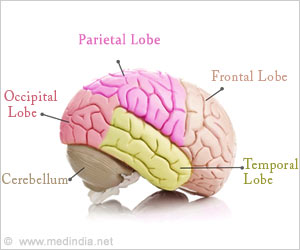 Fundamental Insight into How Memory Changes With Age Revealed Fundamental Insight into How Memory Changes With Age Revealed