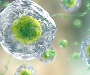New Method to Target Treatment-resistant Cancers Identified New Method to Target Treatment-resistant Cancers Identified