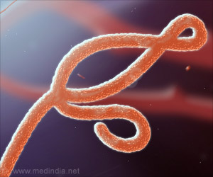 Ebola Virus Disables the Body's Immune Defenses Ebola Virus Disables the Body's Immune Defenses
